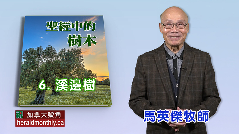 《聖經》中的樹木：義人樹•溪邊樹